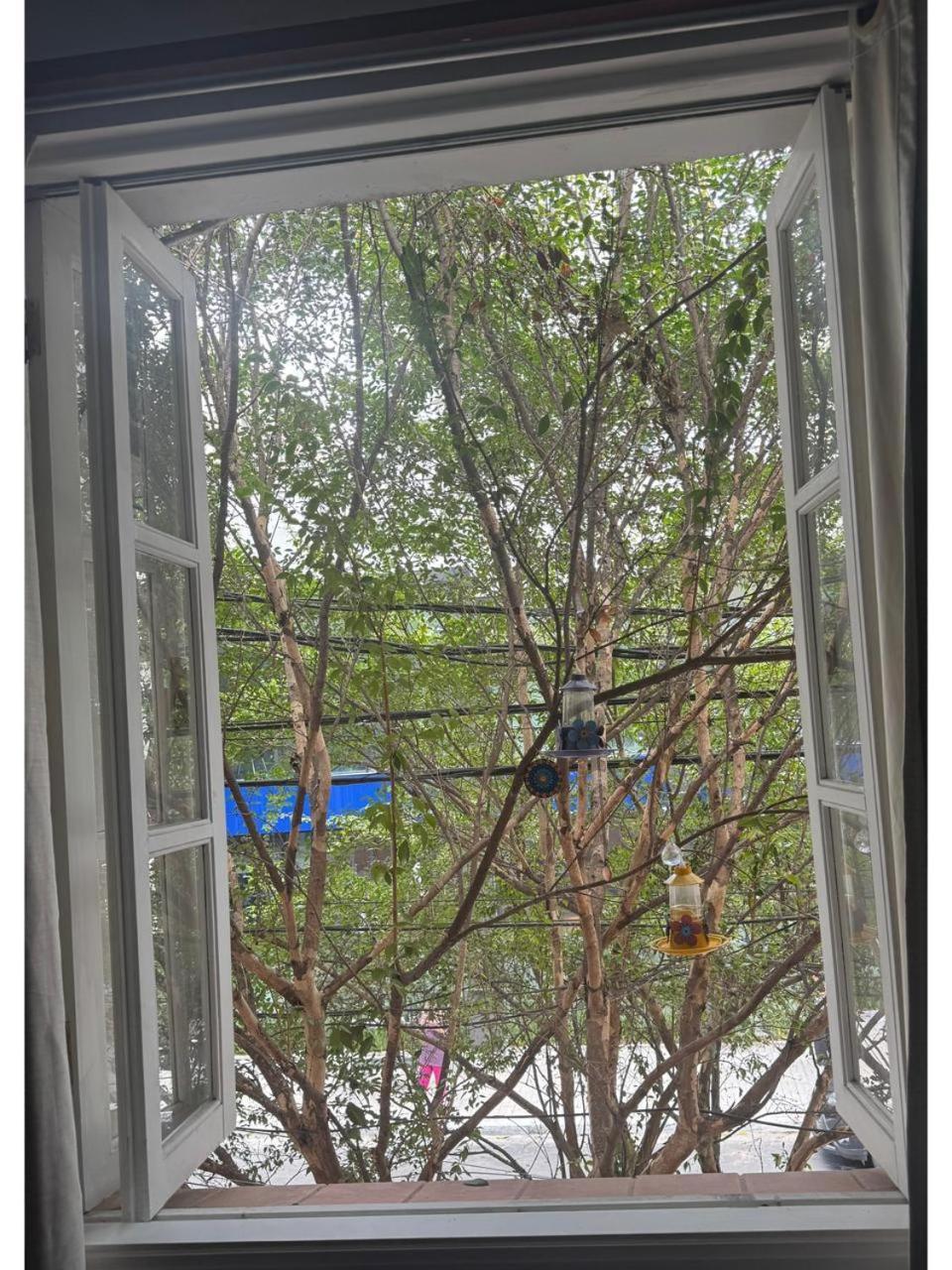 דירות סאו פאולו Casa Saint Hilaire מראה חיצוני תמונה